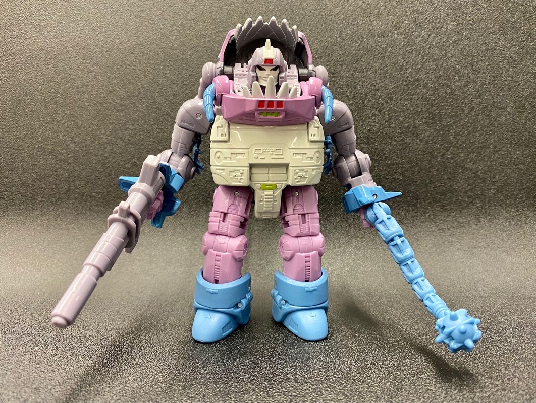 transformers gnaw toy